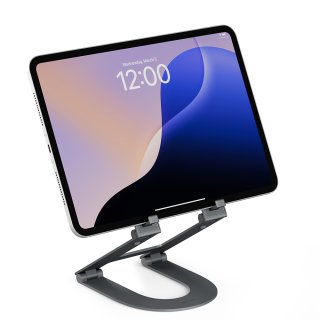 TwelveSouth Curve Mini iPad Stand - Slate